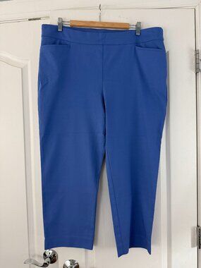 Chicos Pants Size 3 (16) Blue 3051